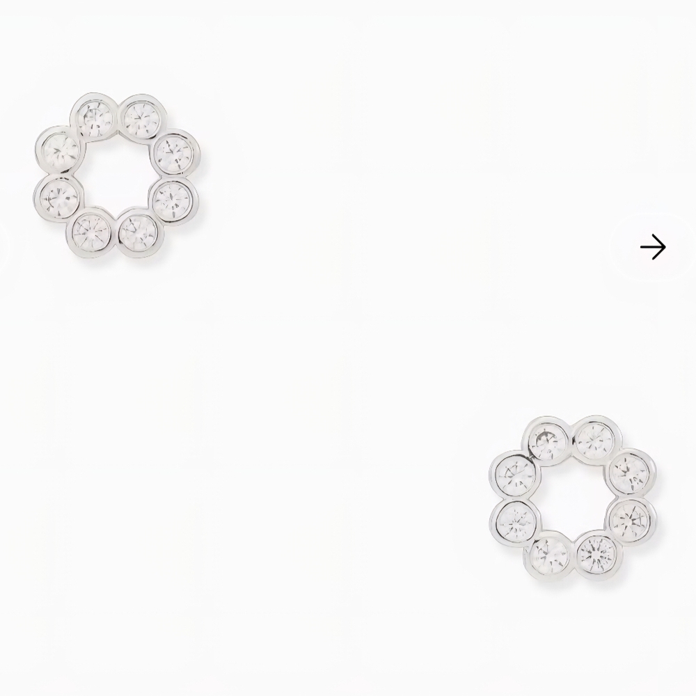 Elegant Silver Crystal Stud Earrings